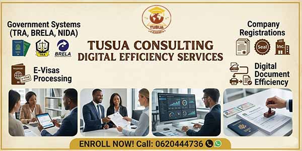 Digital Efficiency Services